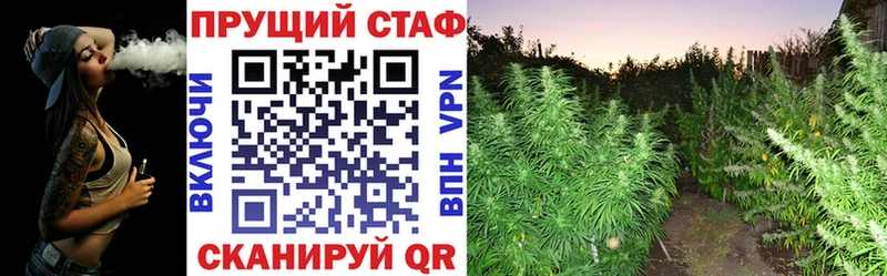 Виды наркотиков купить Гагарин КОКАИН Бутират ссылка на мегу вход Alpha PVP Амфетамин Псилоцибиновые грибы Мефедрон