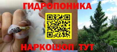 мдпв Беслан