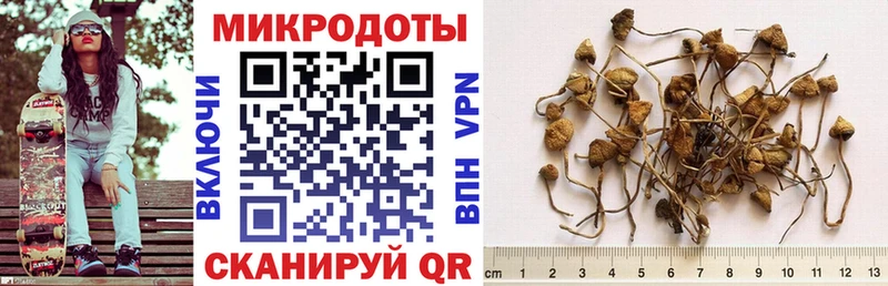 Галлюциногенные грибы прущие грибы наркотики Гагарин
