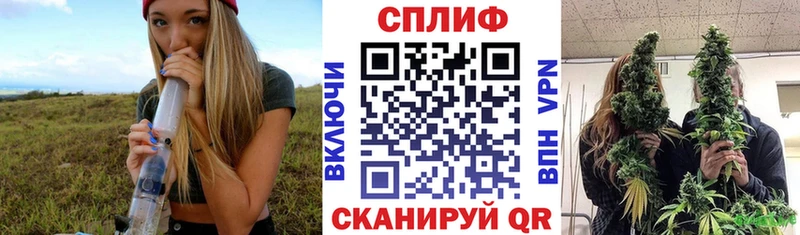 Конопля конопля Гагарин